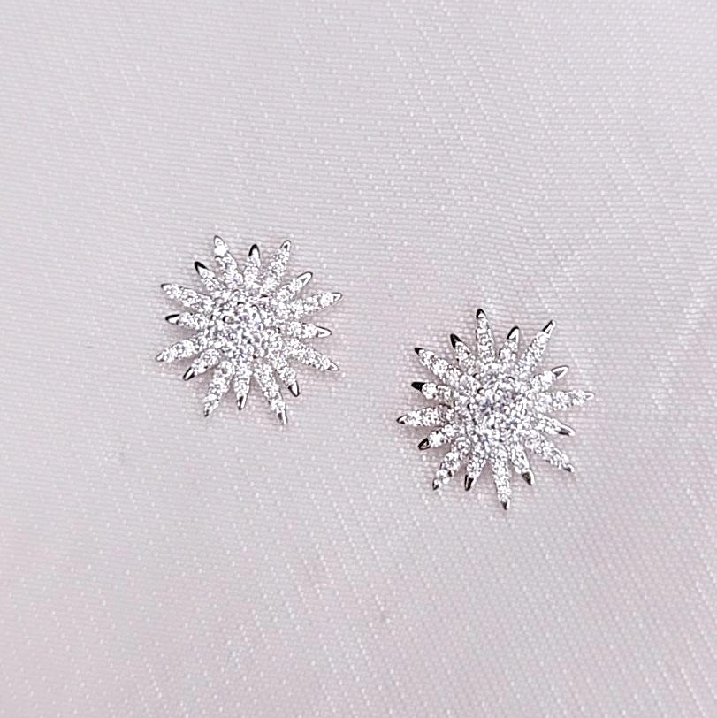 Orecchini Snow Gleam