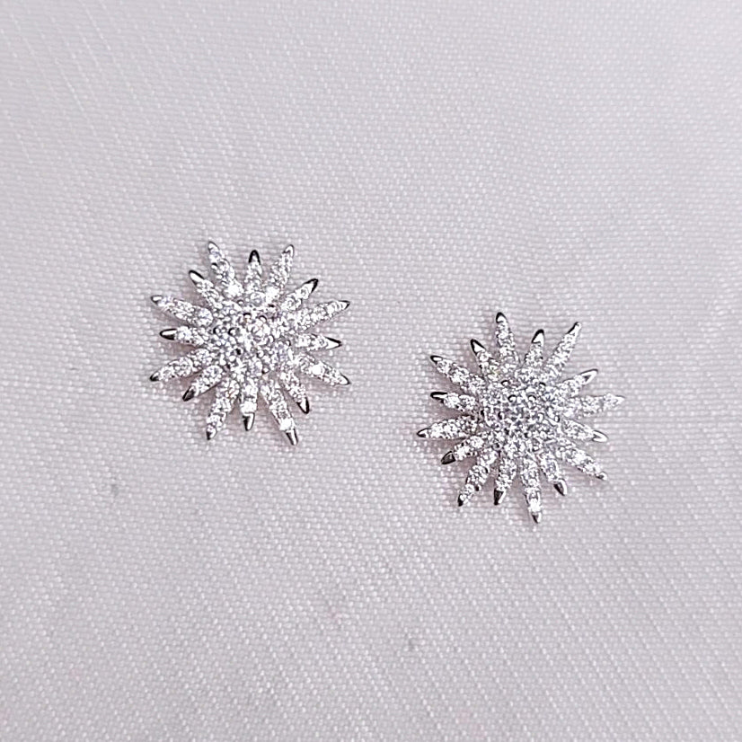 Orecchini Snow Gleam