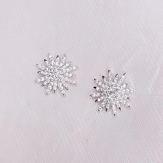 Orecchini Snow Gleam