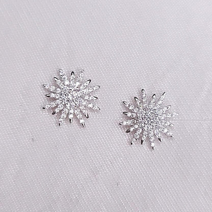 Orecchini Snow Gleam