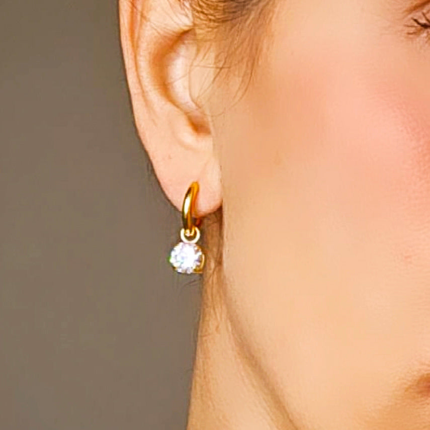 Orecchini Shine Hoops