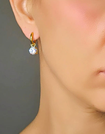 Orecchini Shine Hoops